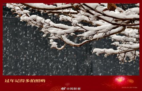 以下是3个不同的标题均符合您的要求