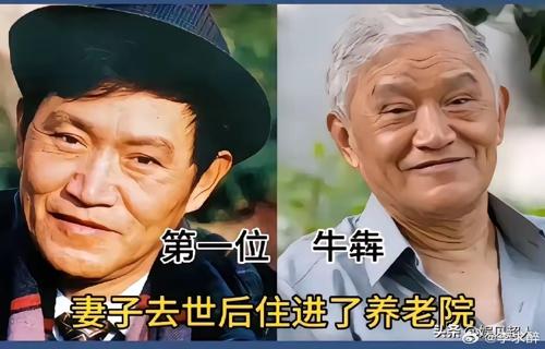 白冰冰七年求孕路16次试管婴儿愿女儿回家团圆